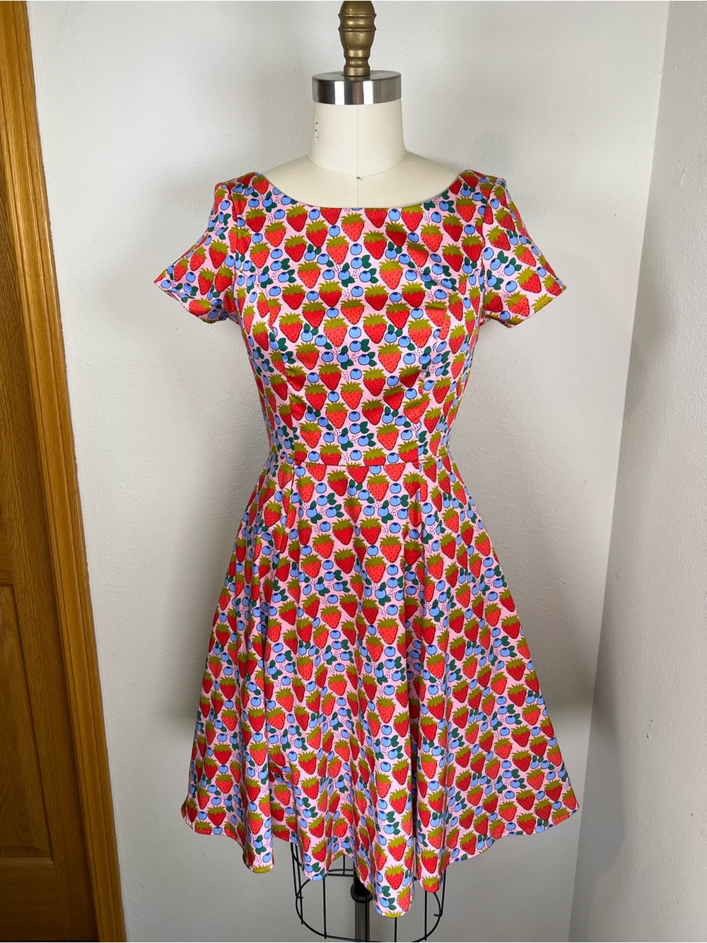 Eva Rose Retro Fit-and-Flare Berry Print Mini Dress in Pink & Red